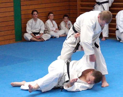 DSC03787 (Large).JPG